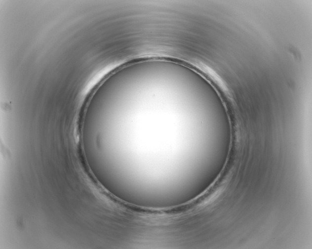 X0000091350885200708101035