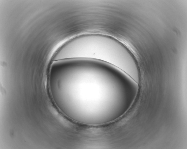 X0000091350888200708101035