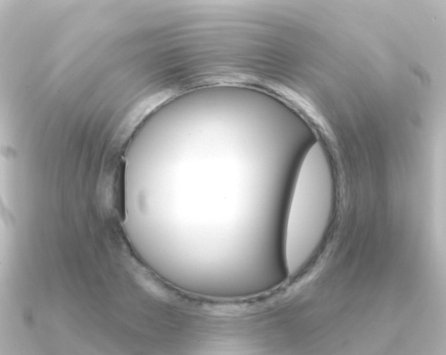 X0000091350889200708101035