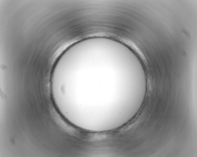 X0000091350890200708101035