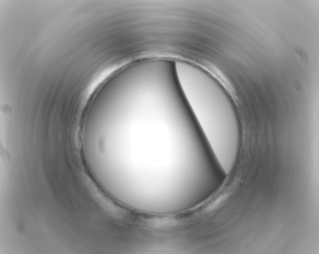 X0000091350893200708101035