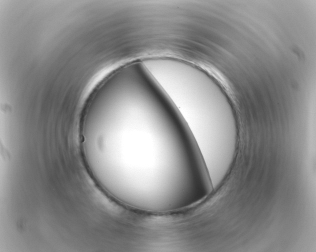 X0000091350894200708101035