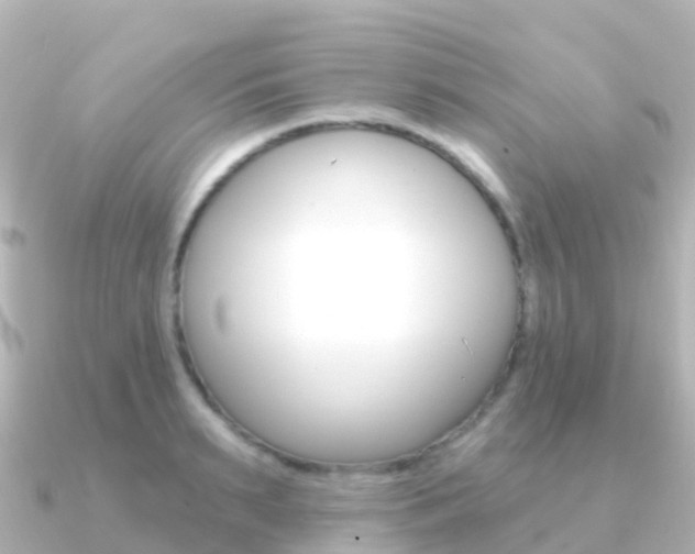 X0000091350895200708101035