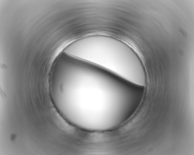 X0000091350898200708101035
