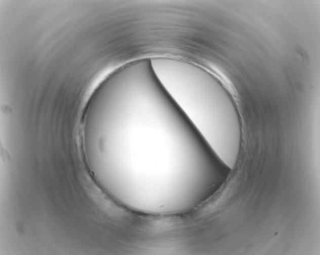 X0000091350899200708101035
