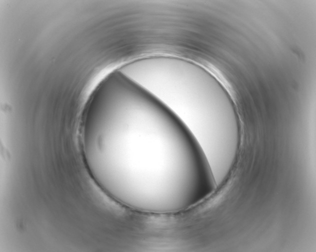 X0000091350901200708101035