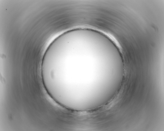 X0000091350903200708101035