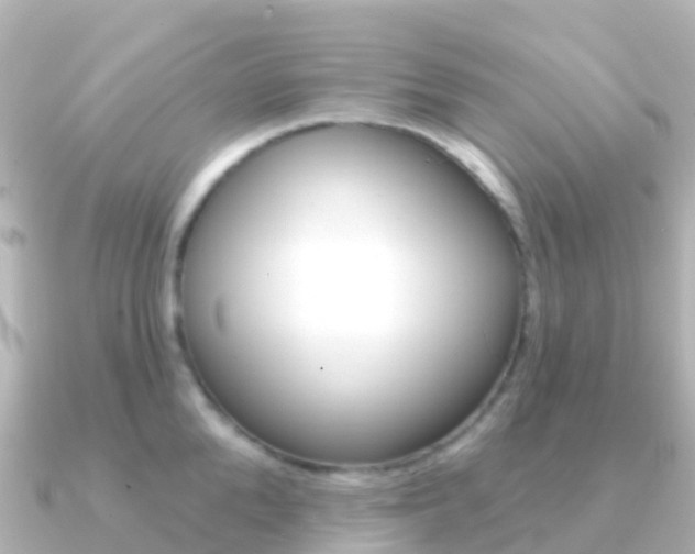 X0000091350904200708101035