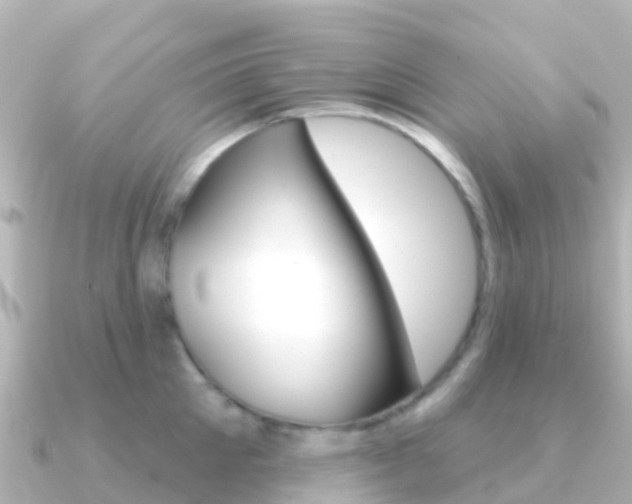 X0000091350905200708101035