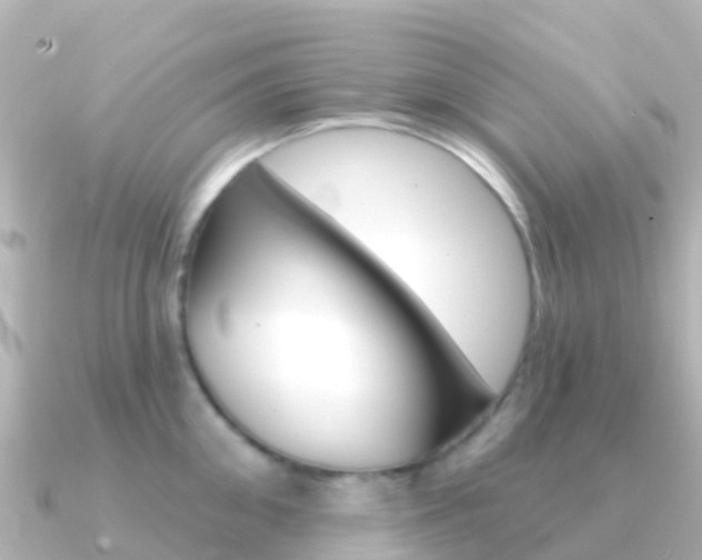 X0000091350906200708101035