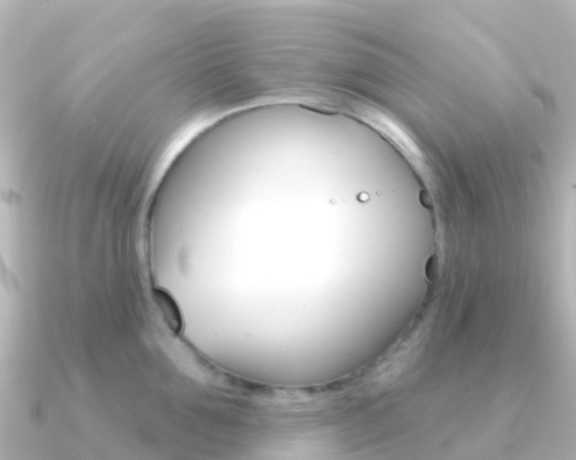 X0000091350907200708101035