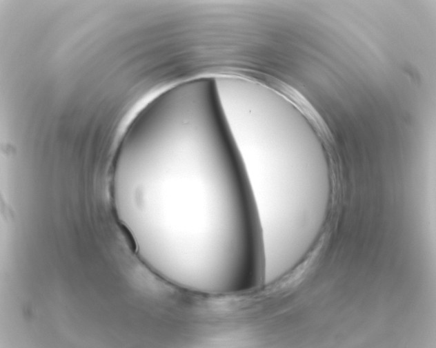 X0000091350908200708101035