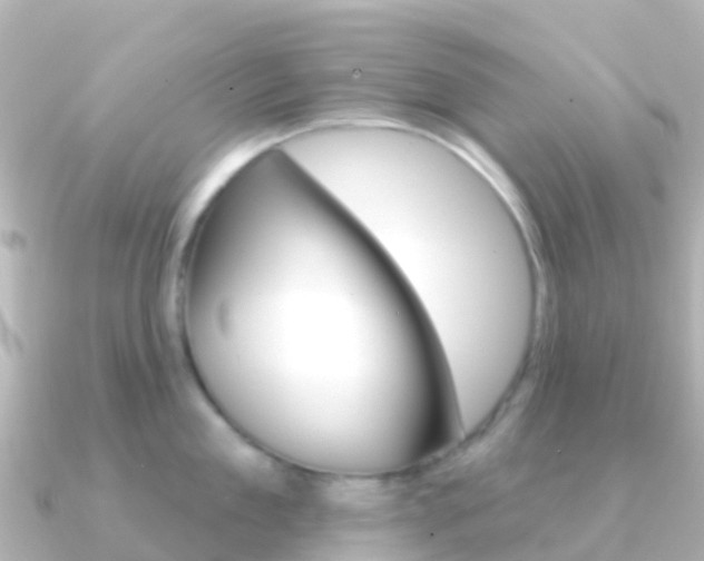 X0000091350909200708101035
