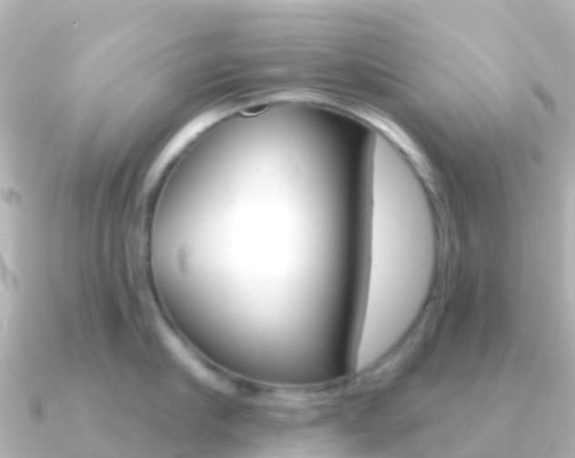 X0000091350910200708101035