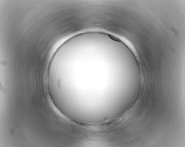 X0000091350911200708101035