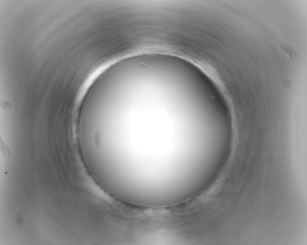 X0000091350912200708101035