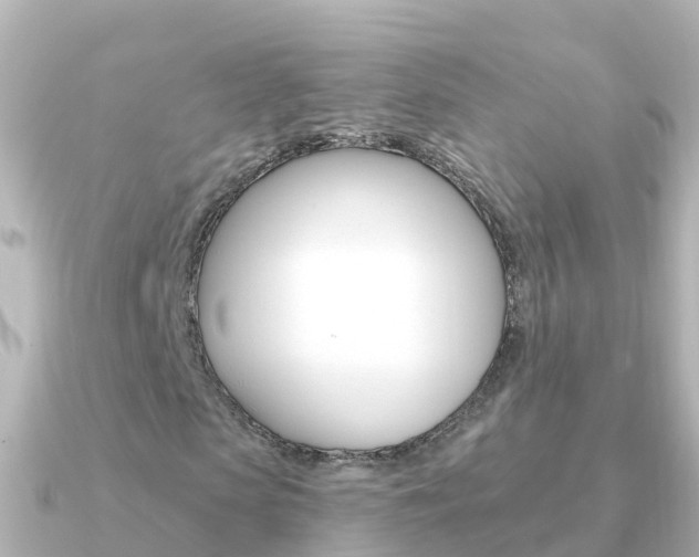 X0000091350913200708101034