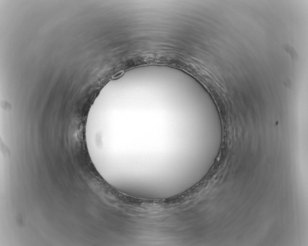 X0000091350914200708101034