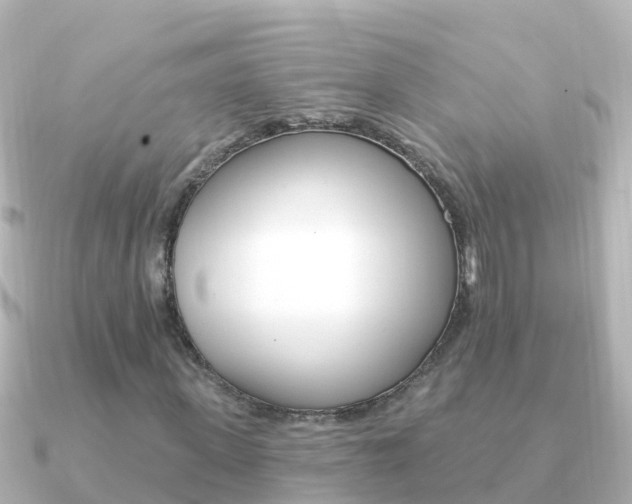 X0000091350915200708101034