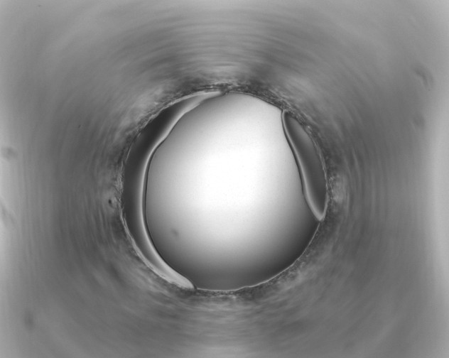 X0000091350916200708101034