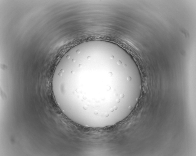 X0000091350917200708101034