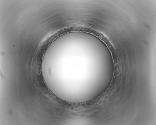 X0000091350919200708101034