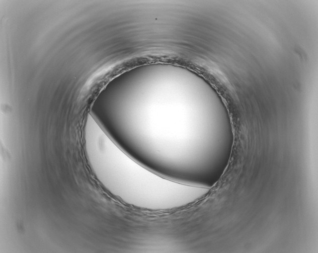 X0000091350920200708101034