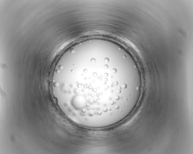 X0000091350921200708101034