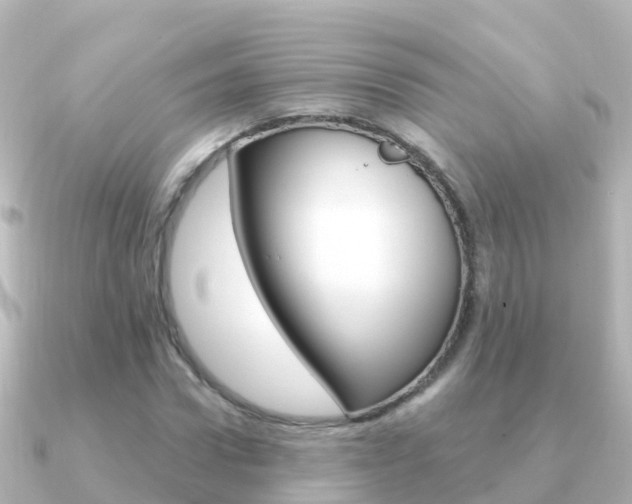 X0000091350922200708101034