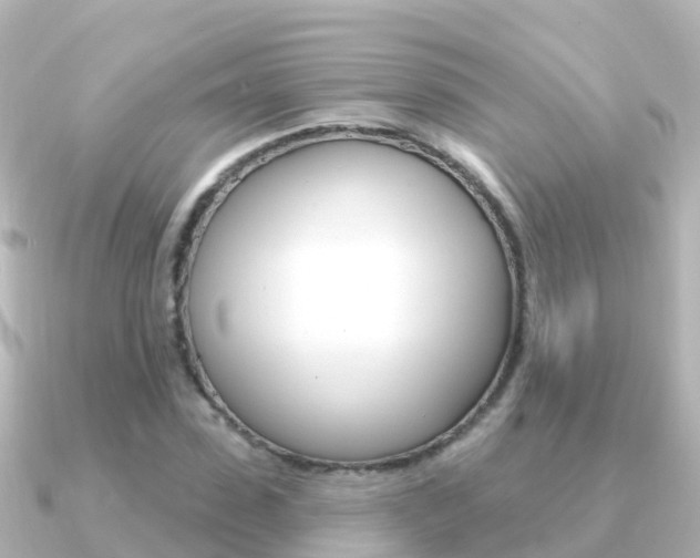 X0000091350923200708101034
