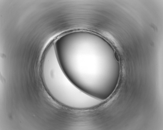 X0000091350924200708101034