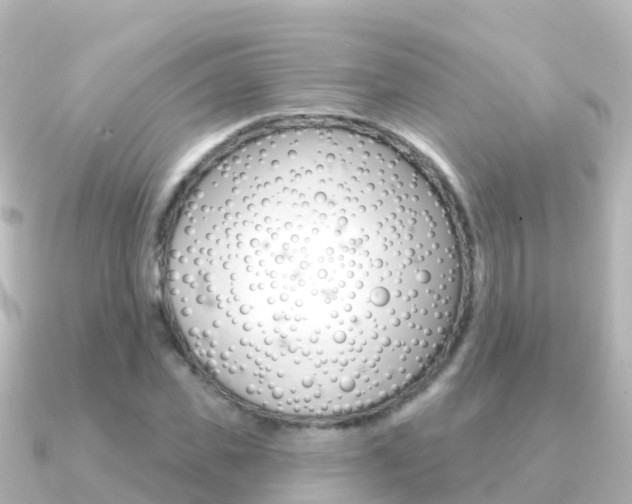 X0000091350925200708101034