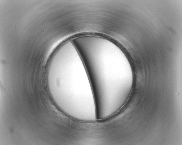 X0000091350926200708101034