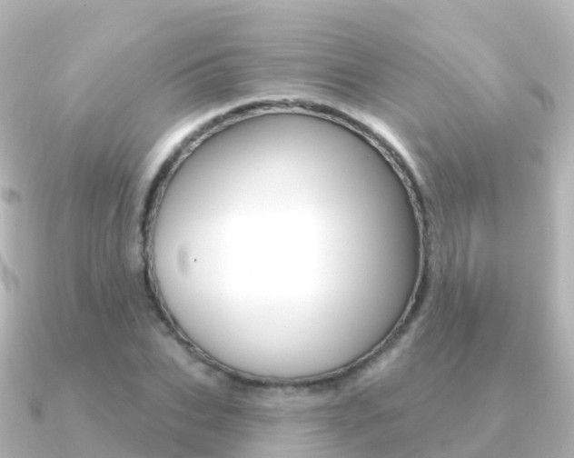 X0000091350927200708101034