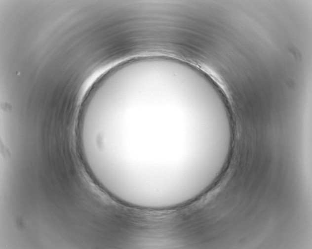 X0000091350928200708101034