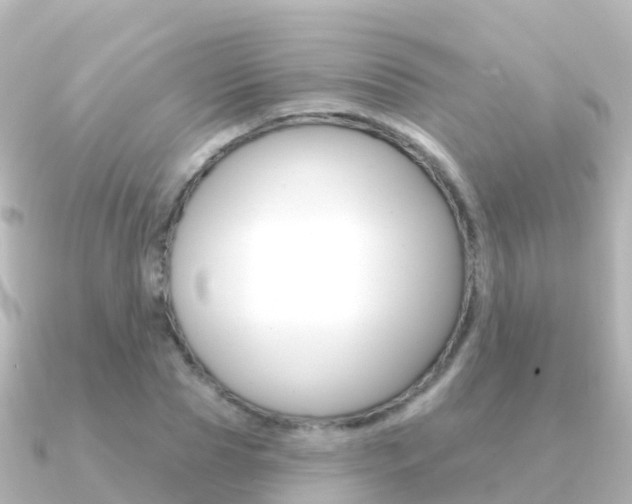X0000091350929200708101034