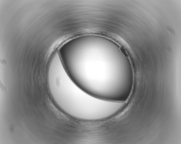 X0000091350930200708101034