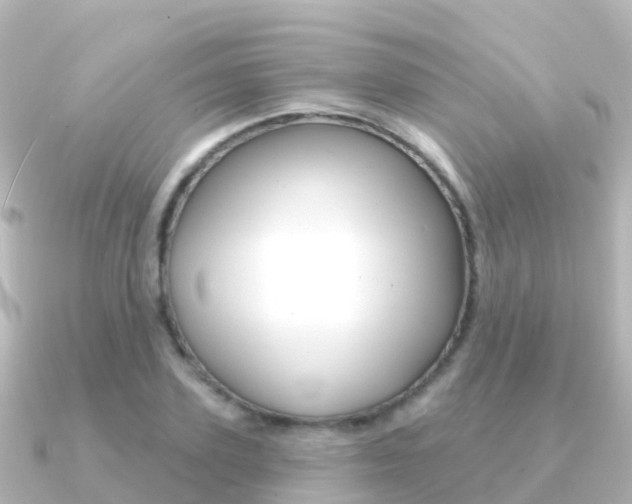 X0000091350931200708101034