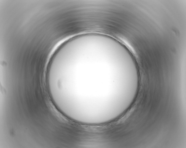 X0000091350932200708101034