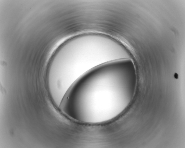 X0000091350934200708101034