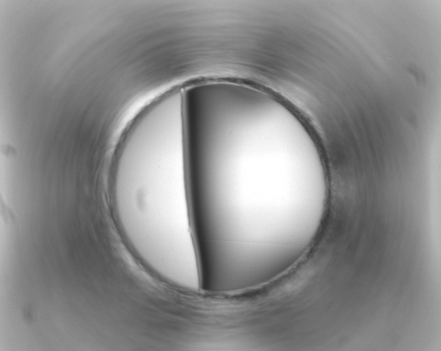 X0000091350935200708101034