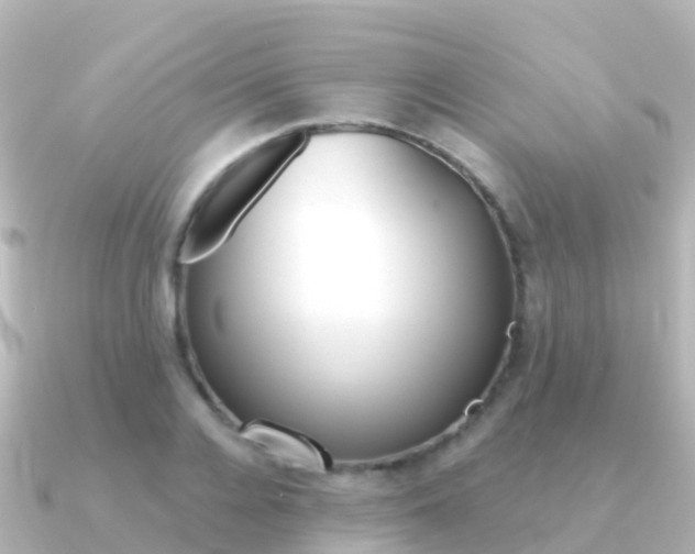 X0000091350936200708101034