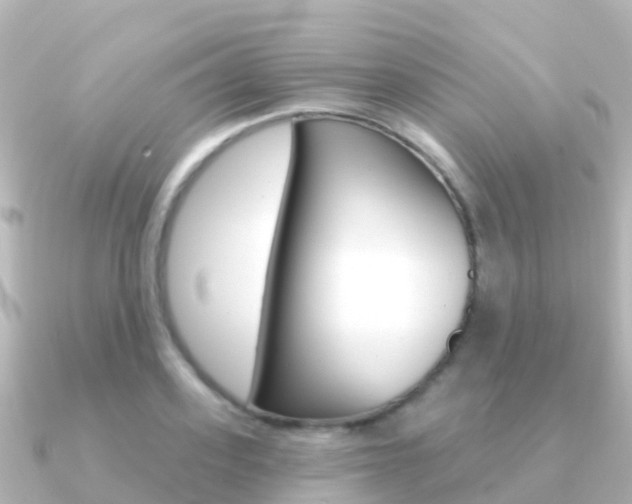 X0000091350939200708101034