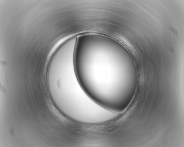 X0000091350940200708101034