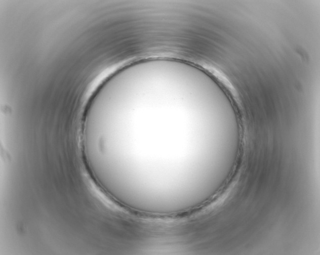 X0000091350941200708101034