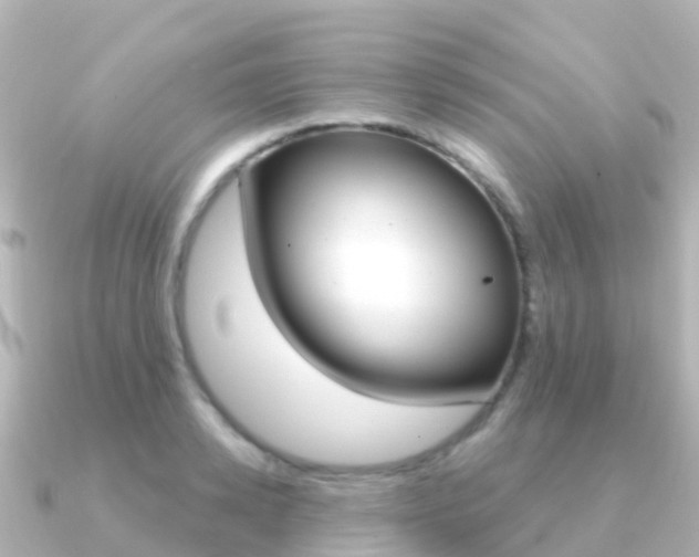 X0000091350942200708101034