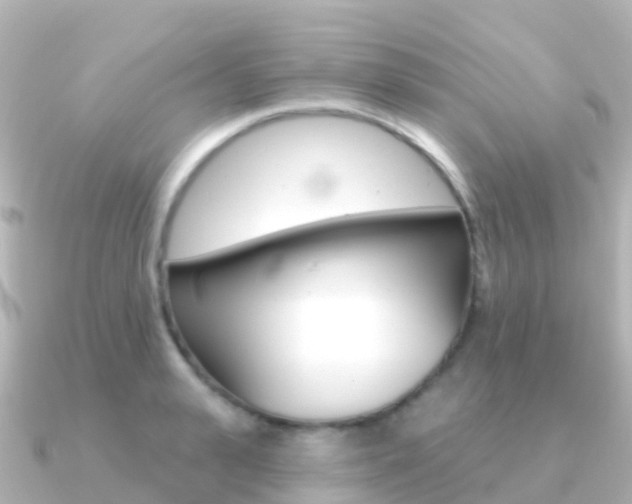 X0000091350943200708101034