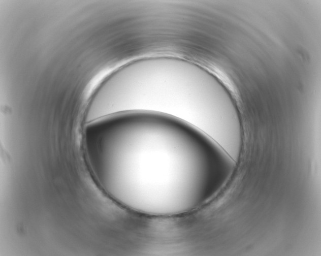 X0000091350944200708101034