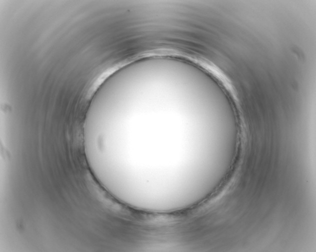 X0000091350945200708101034