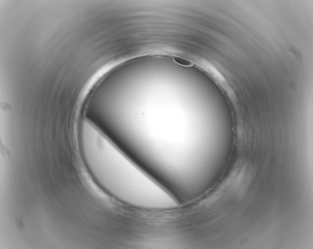 X0000091350947200708101034
